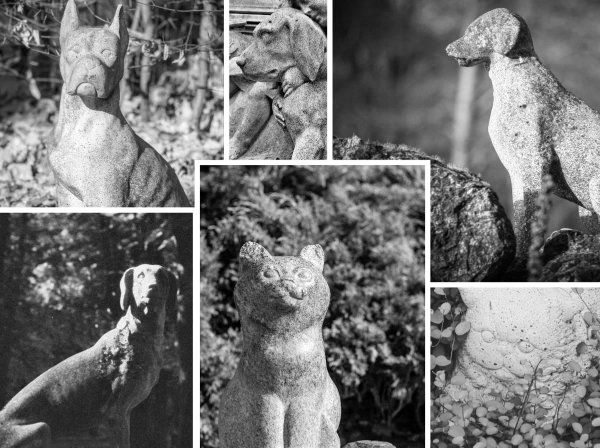 Individuelle Gedenksteine aus Naturstein für Tierfriedhof München - Hallbergmoos